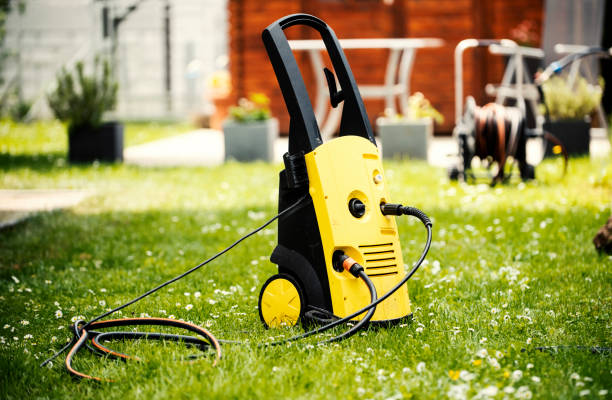 Animal Enclosure Cleaning in Roselle Park, NJ